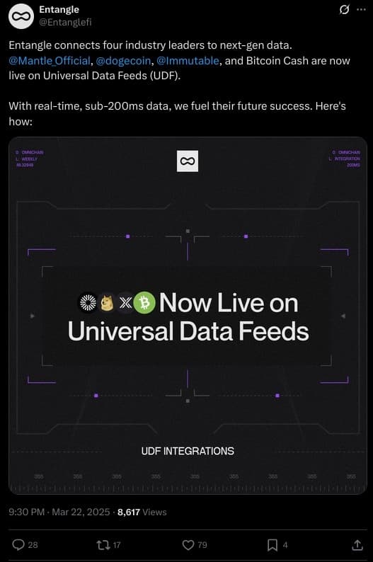 Entangle — Co-Marketing Performance 2